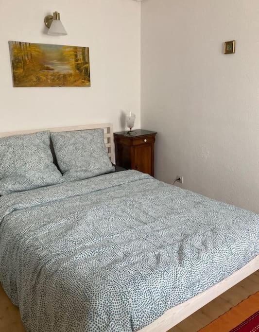 Charmant F3, 2 chambres calme lumineux 75m2 6 personnes Mulhouse Extérieur photo